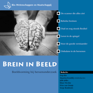 Brein in beeld