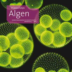 Algen