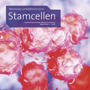 Stamcellen