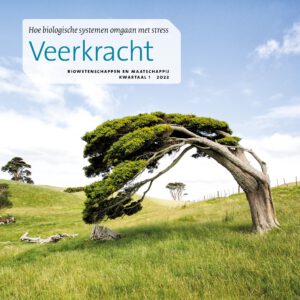 Veerkracht