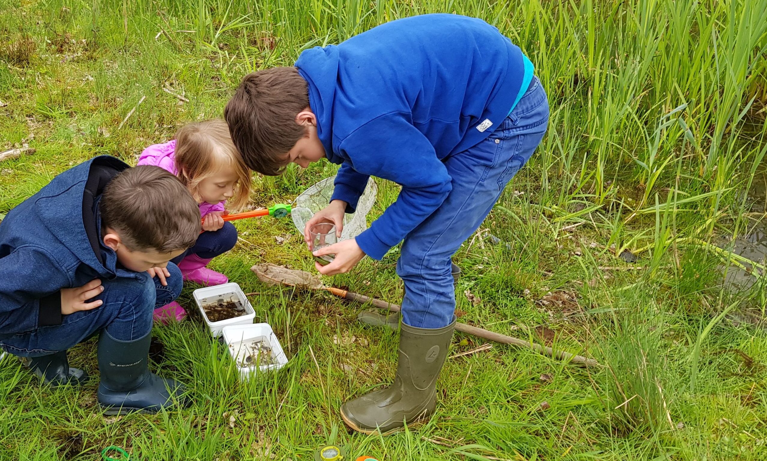 Kinderen bekijken hun watermonsters. © Anton Gerritsen, GLOBE Nederland.
